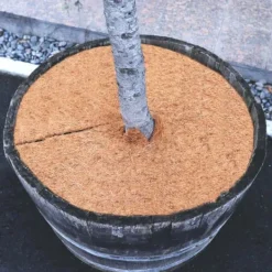 Clearance 4 Coconut Mulching-skivor 30 cm Kokosfibermatta Kokosfiber Växtskyddsmatta Kokosnöt Komposttäckning