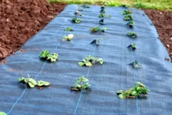 104 m² Ogräsbekämpningsmembran Ogräsfoder Mulchliner 100 g 1,65 m bred