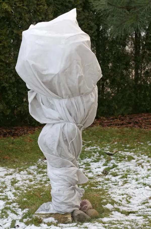 128 m² Vinterskyddsfleece Isolerande trädgårdsfleece Frostskydd 60 g Markduk & Fiberduk
