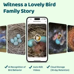 Ansluten Matare - Birdfy Ebony Lite - HD 1080P Kamera - Solpanel - AI för Fågelidentifiering