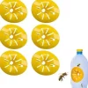Asiatiskt getingfälla, Mikrogadd, Asiatiskt getingfälla, Getingfångare, Plastinsektsfälla Skadedjursfällor