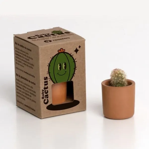 Hot BABY Kaktus Kit För Växt- & Örtplantering