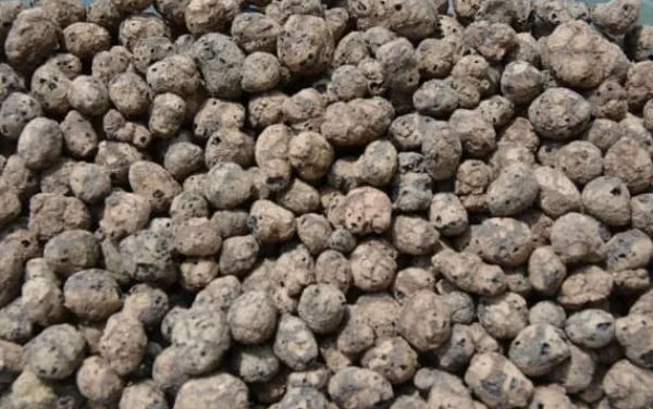 BIOVITA GARDENING EXPANDERAD LERA idealisk för dränering 8-16MM 2L
