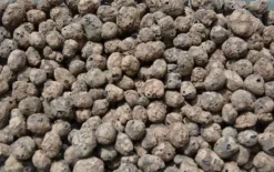 BIOVITA GARDENING EXPANDED GRAPE idealisk för dränering 8-16MM 18L