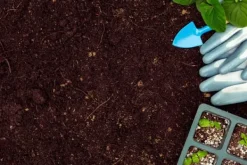 New BIOVITA SURT TORV för blåbär och syraälskande växter 3,5-4,5 pH 20 l Jord & Sand