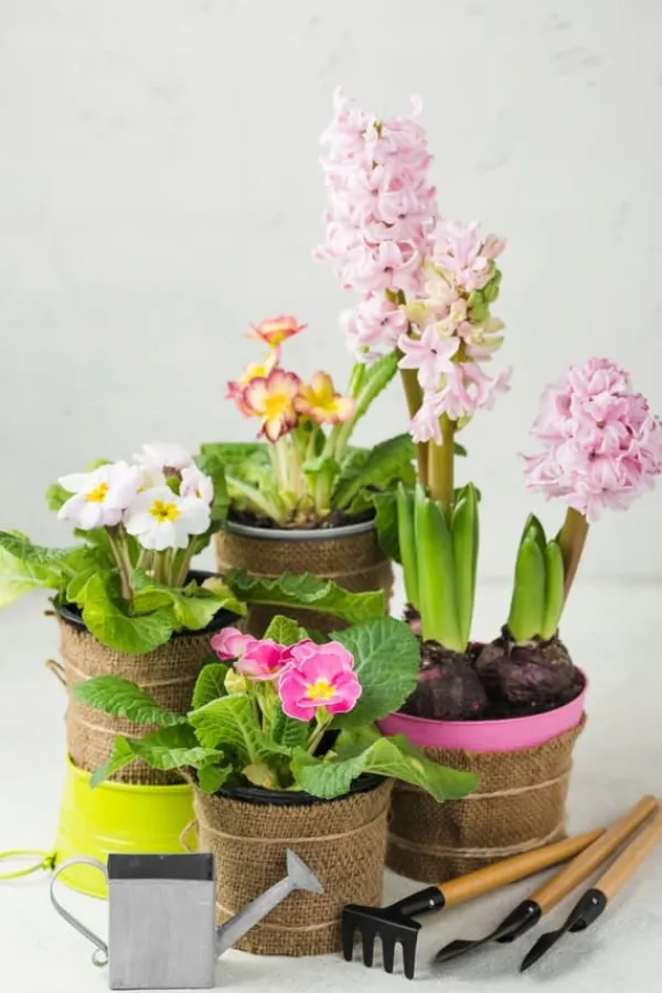 BIOVITA UNIVERSAL BLOMSTERJORD 80 LITER MED GÖDSEL