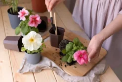 BIOVITA UNIVERSAL BLOMSTERJORD 20 LITER MED GÖDSEL Jord & Sand