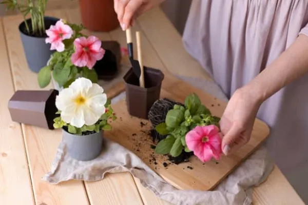 BIOVITA UNIVERSAL BLOMSTERJORD 10 LITER MED GÖDSEL