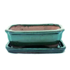 bol bonsai med fat storlek 2 - grön - fyrkantig - modell g12 - l 15,5cm - b 11,5cm - h 4,5cm
