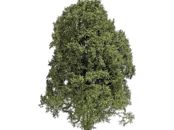 Clearance Busch 3589 Bush Summer Green Träd