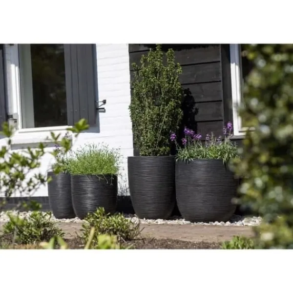 Sale CAPI EUROPE RIB NL Kulblomkruka - 43x41 cm - Svart Krukor & Växtbehållare
