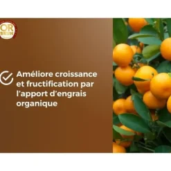 Citrus- och medelhavsjord - BROWN GOLD - OBRTAG20N - 20 L