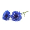 Click & Grow - Smart Garden Refill 3-pack Kornblomma