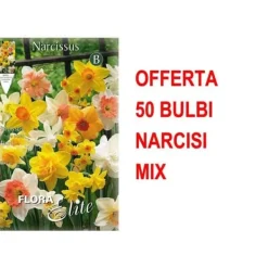 Online ERBJUDANDE 50 NARCISSKOLOR MIX BULBAR Fröer & Lökar