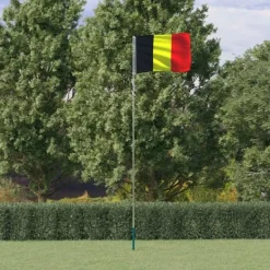 Flaggor & vindstrutar - Living Belgiens flagga och flaggstång 5,55 m aluminium