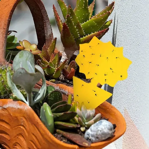 Flugfångare / Klibbig Insektsfälla, 20-pack