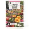 Frö till vildblommor Mix – Snabbväxande blomsteräng i mjuka pastellfärger