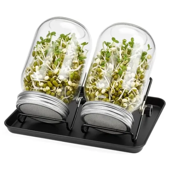 Clearance Groddningsburkar Set, 16,5x10 cm, Glas Kit För Växt- & Örtplantering