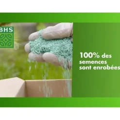 Gräsmatta - BHS - Seaside Lawn 1kg | 40m² | Resistent mot vind, torka och salt | Vacker, attraktiv och robust sommargräsmatta.