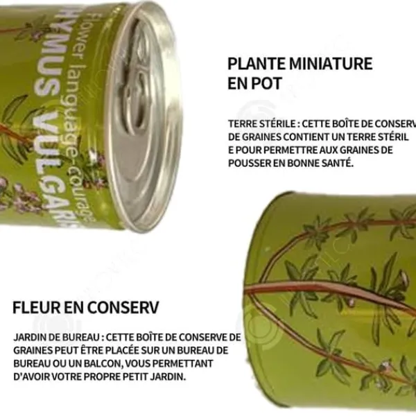 INN Seeds Timjan Frölådor Creative Mini krukväxter Burk frön 9x6,5 cm Bur Boxed Plant Plant Kit