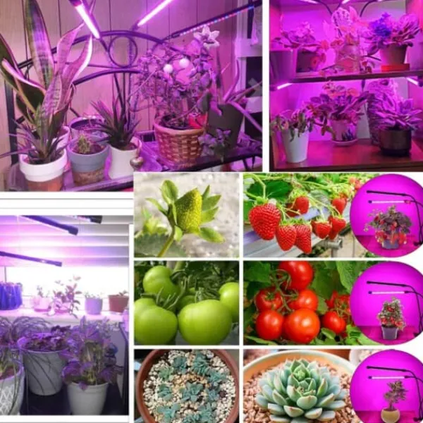 LED Växtbelysning – Dubbel Full Spektrum Växtlampa med Klämma