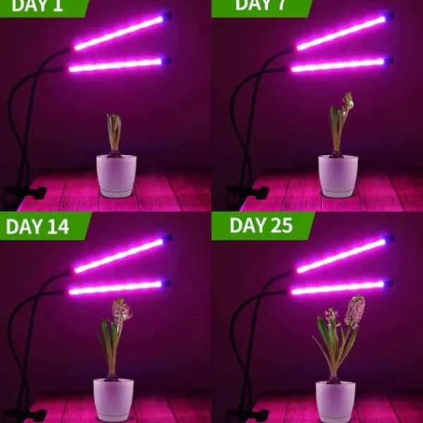 LED Växtbelysning – Dubbel Full Spektrum Växtlampa med Klämma