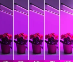 Best LED-lampa för odling av växter, fullspektrumblomning med klämmjustering Kit För Växt- & Örtplantering
