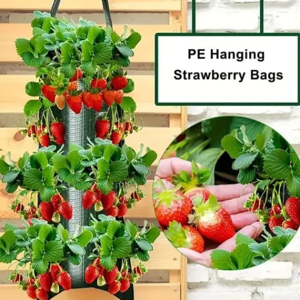 Discount OBOSOE Hängande Odlingspåse/Odlingsväska - 8-håls Vertikal Jordlös Odling, Perfekt för Jordgubbar Kit För Växt- & Örtplantering