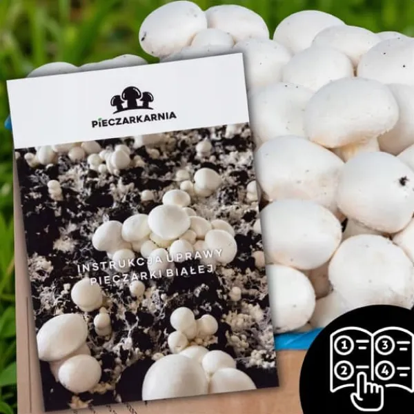 Online Odlingskit för svampmycelium 8 kg, instruktioner för hemmaodling + gratis gåva Kit För Växt- & Örtplantering