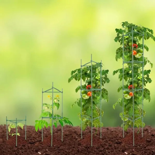 6-pack tomatburar, 48" stödbur för tomatplantor, hållbar trädgårdslösning, lätt att installera