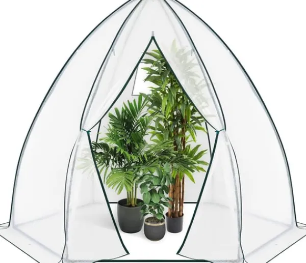 Rootz koniskt växthus - Trädgårdsväxthus - Växthus - Väderbeständig, hållbar struktur, Optimal ventilation - 240cm x 200cm x 240cm / 160cm x 180cm x 1 | CDON