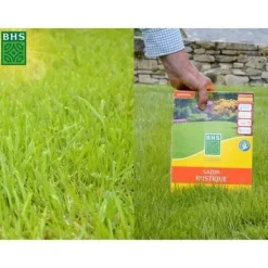 Best Rustikt gräs - BHS - 3 kg låda - Resistent mot tuffa väderförhållanden - Sol - Röd Fröer & Lökar