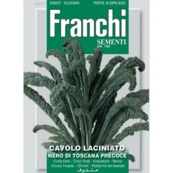 Hot SEMI CAVOLO LACINIATO NERO DI TOSCANA DOPPIA BUSTA FRANCHI Fröer & Lökar