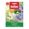 SEMI POLEMONIUM COERULEUM AZZURRO BLUMEN