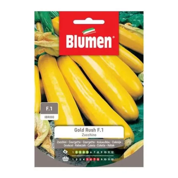 Online SEMI ZUCCHINO GOLD RUSH F1 HYBRID BLUMEN Fröer & Lökar