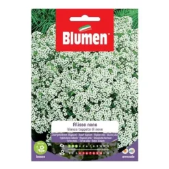SEMIA ALISSO BIANCO NANO TAPPETO SNÖ BLUMEN