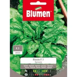 SEMISEMI SPINACIO RICCIO F1 BLUMEN FRÖ SÄDESMARKET