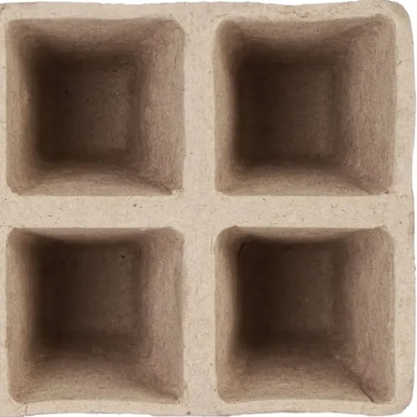 Set med såkrukor, 5x3,5x3,5 cm, Brun