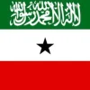 Discount Somaliland flagga Somalia Flaggor & Vindstrutar