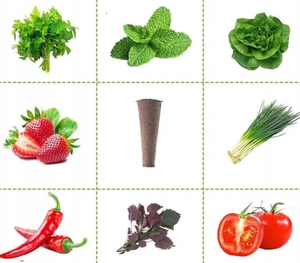 Online STARTKIT FÖR PLANTOR, INSPEKTION AV PLANTOR, 50 PATRONER, SUBSTRAT, HYDROPONIK Kit För Växt- & Örtplantering