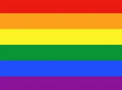 New Stor Prideflagga / Regnbågsflagga Flaggor & Vindstrutar