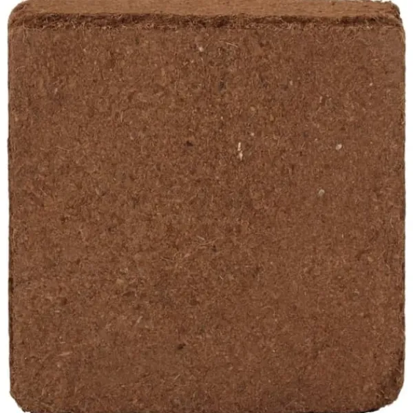 The Living Store Block i kokosfiber 2 st 5 kg vardera 10 kg total - Jord och sand