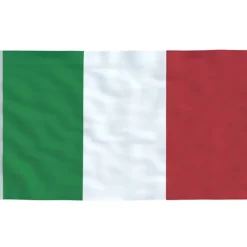 vidaXL Italiens flagga och flaggstång 6,23 m aluminium
