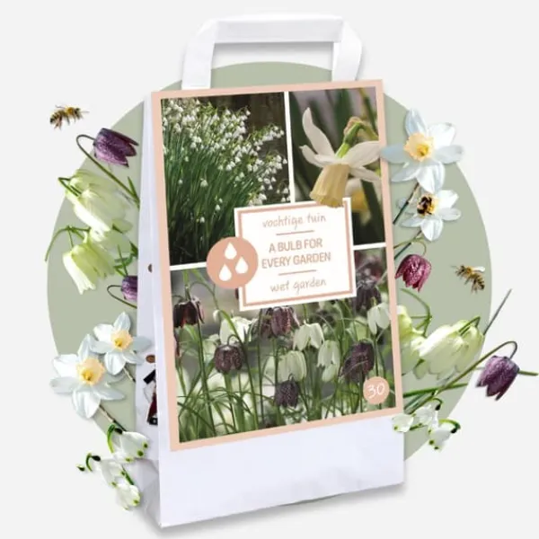 Våt trädgårdslåda - 30 blomsterlökar för fuktiga och regniga platser Fröer & Lökar