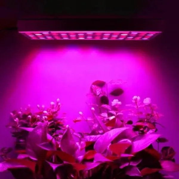Växtbelysning 225 LED Panel | Odlingslampa för Optimal Växtutveckling