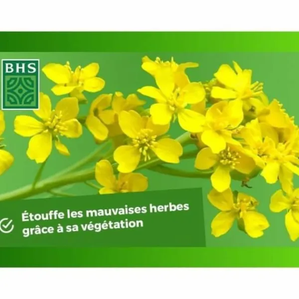 Växtgödsel BHS 500 g
