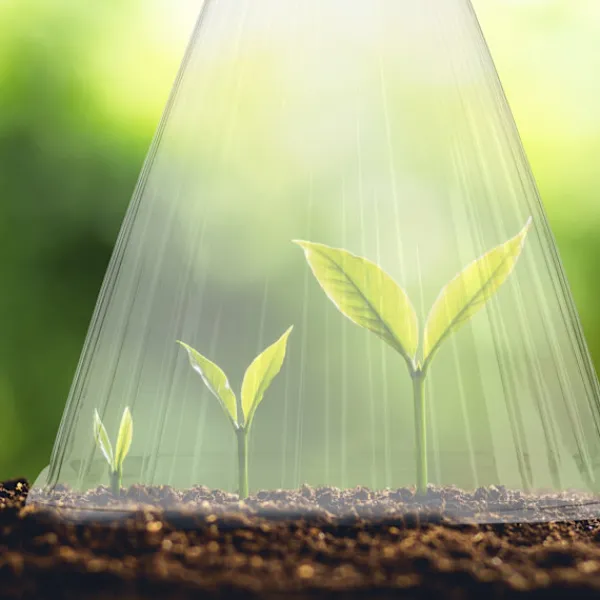 Discount Växthatt 24 stycken Kit För Växt- & Örtplantering