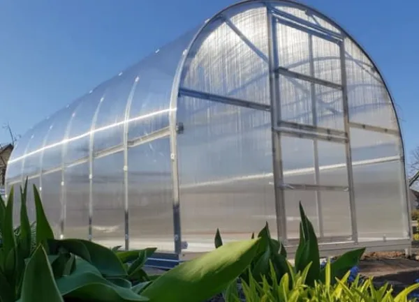Sale Växthus Klasika 3x6m med 6 mm polykarbonatbeläggning Växthus